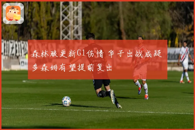 森林狼更新G1伤情 华子出战成疑 多森姆有望提前复出