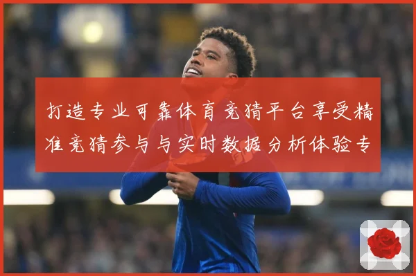 打造专业可靠体育竞猜平台享受精准竞猜参与与实时数据分析体验专题观察