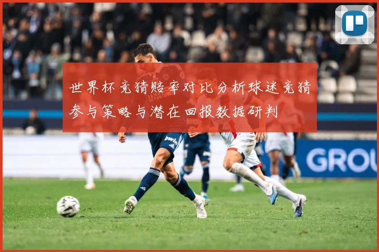 世界杯竞猜赔率对比分析球迷竞猜参与策略与潜在回报数据研判